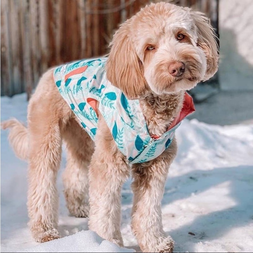 Lucy & Co. Reversible Raincoat for Dogs Minty Fresh Size XXL New